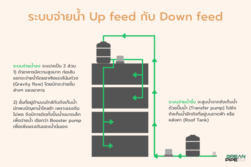 ระบบน้ำ Up Feed กับ Down Feed Grean Pipe 0356