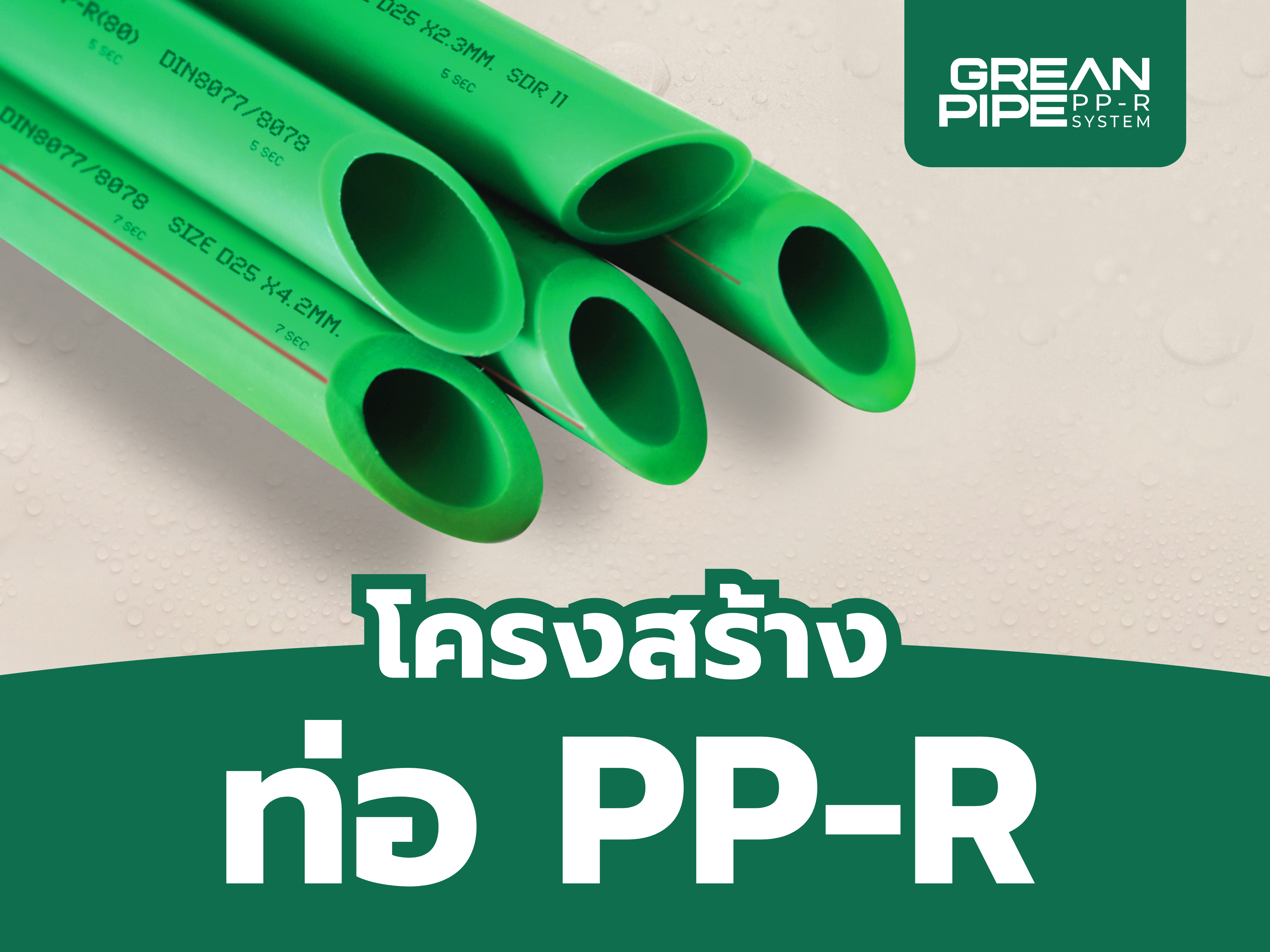 Read more about the article บทความท่อ – โครงสร้าง PP-R